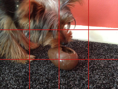 Example of an image with 4:3 aspect ratio